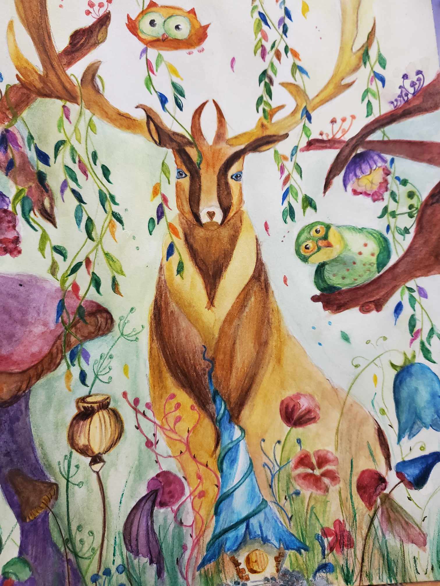 dessin aquarelle illustrations cerf magique extraordinaire